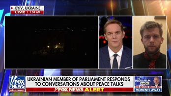 Russia-Ukraine peace talks a ‘mirage’: Ukrainian MP