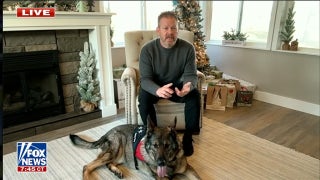 Celebrating '12 Days of Giving' with Dulebohn Service Dogs