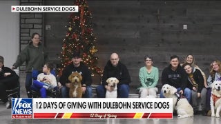 Celebrating '12 Days of Giving' with Dulebohn Service Dogs