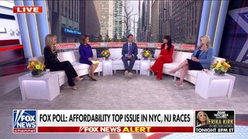 Economy, cost of living were top issues for voters, Fox polling finds