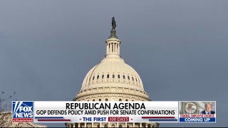   Democrats target Elon Musk as the Trump admin tries to clean up the government - Fox News