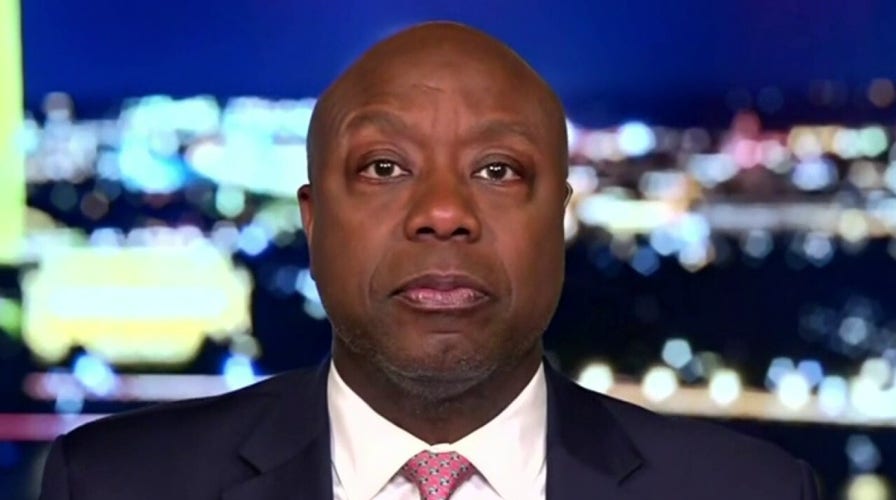 Tim Scott: The only thing standing between the liberal elite and everyday Americans is Trump