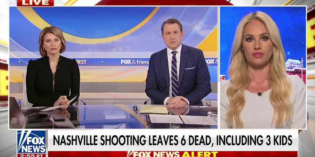 Tomi Lahren: We need to have discussions about protecting schools Fox News Video