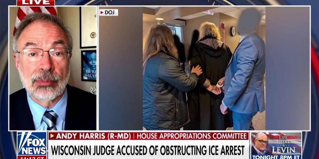 Arrested Wisconsin judge should be ‘removed’ from the bench, GOP lawmaker argues