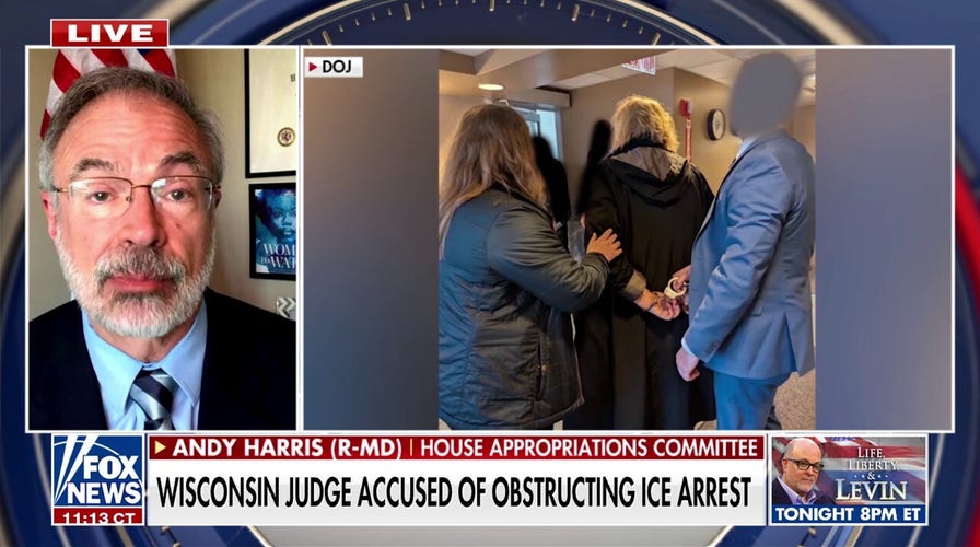 Arrested Wisconsin judge should be ‘removed’ from the bench, GOP lawmaker argues