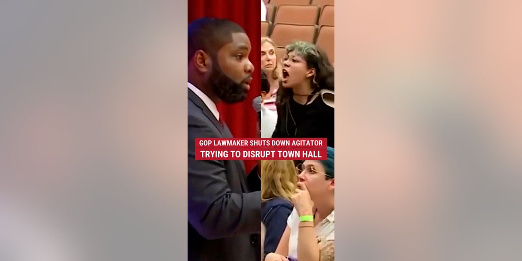 GOP lawmaker shuts down agitator trying to disrupt town hall