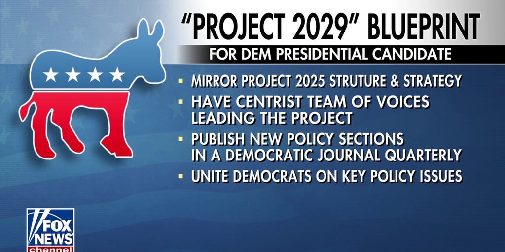 Democrats launch 'Project 2029' as party attempts to garner support