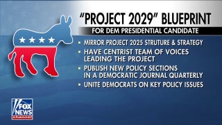 Democrats launch 'Project 2029' as party attempts to garner support