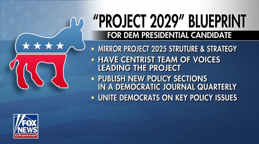 Democrats launch 'Project 2029' as party attempts to garner support