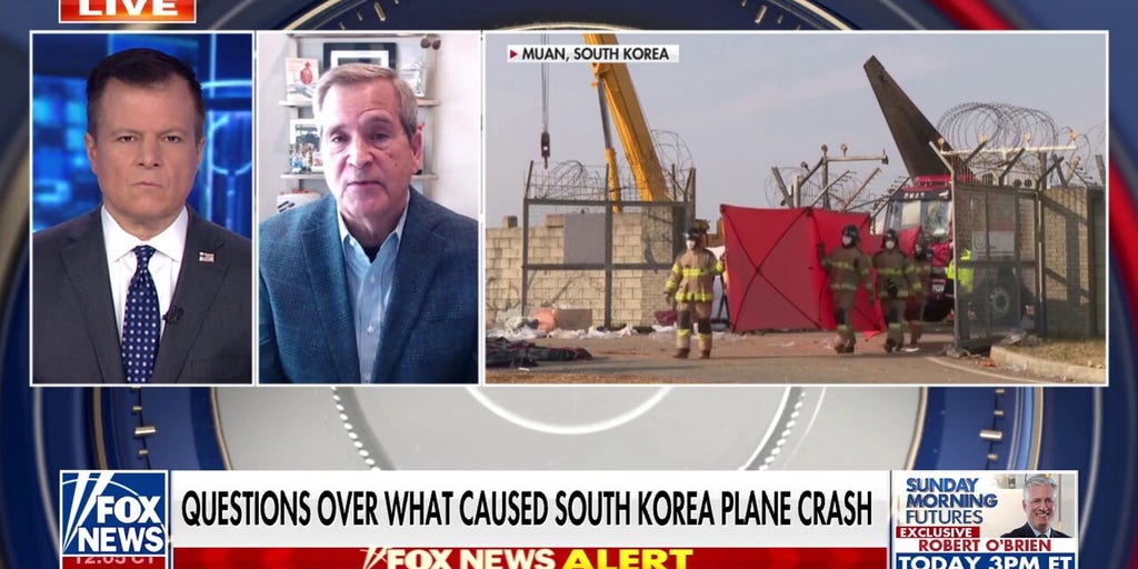 Former pilot raises questions over South Korea plane crash: 'Something doesn't add up here'