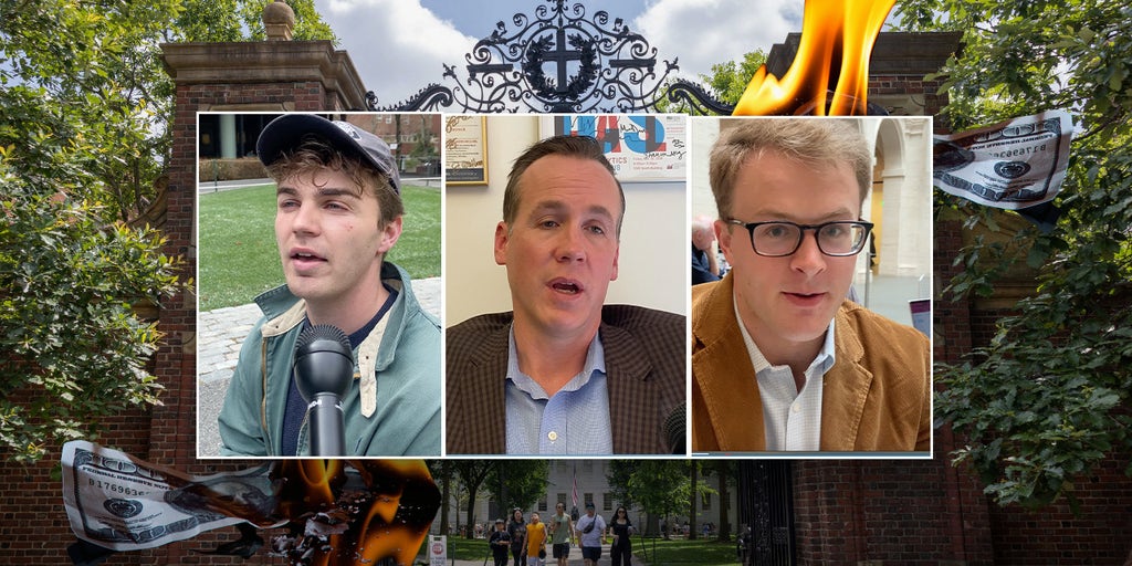 Harvard students, faculty call funding cuts a 'good thing'