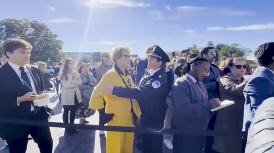 House Democrat crashes Speaker Johnson's shutdown press conference