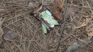 Eight arrested in Georgia theft ring after candy wrappers led investigators to suspects - Fox News