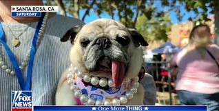 Kat Timpf: I love an ugly animal!