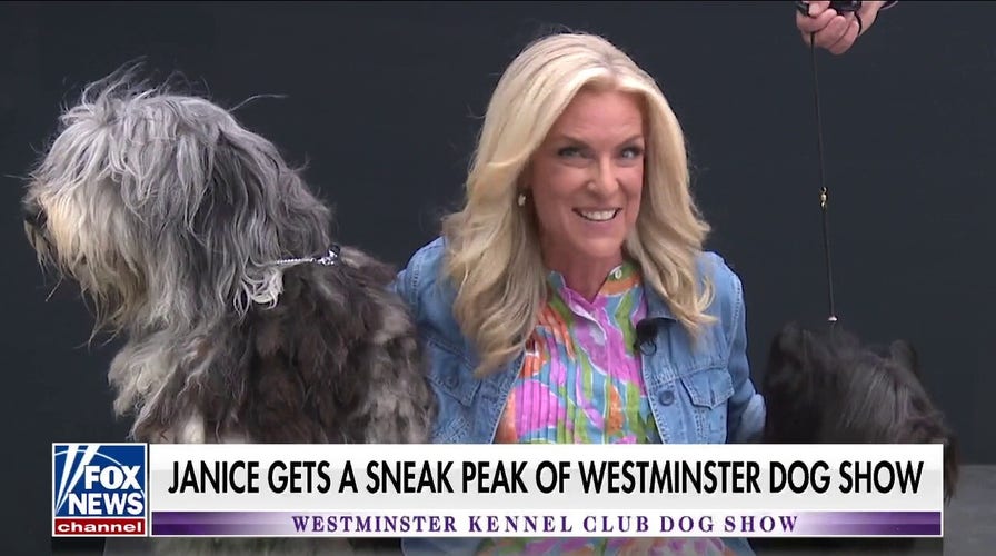 Westminster Kennel Club kicks off their 146th dog show