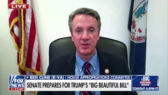 There’s a lot in the 'big, beautiful bill' for hardworking Americans, GOP representative says