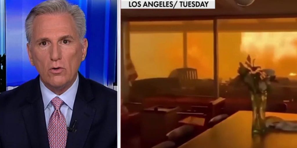 Kevin McCarthy: Gavin Newsom ran California 'into a hole' and 'perpetuated' wildfire problem