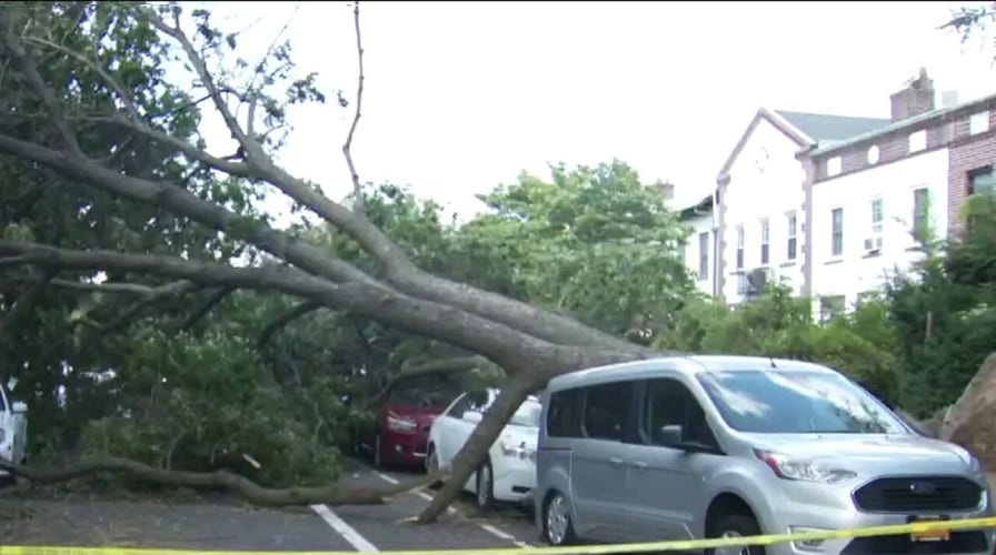Isaias' powerful winds topple 2,000 trees in NYC