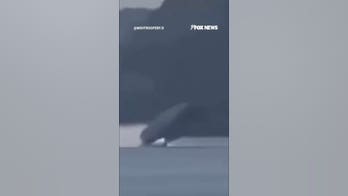 SHOCKING video: Powerboat FLIPS at over 200 mph