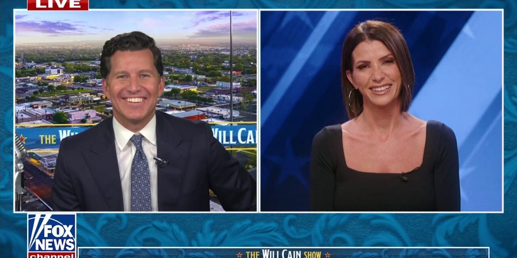 Dana Loesch ridicules Pennsylvania lawmaker's 'mind-numbingly idiotic’ comment