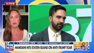 'Coming home to roost': Dems warned that Mamdani win could be 'huge catastrophe' for party