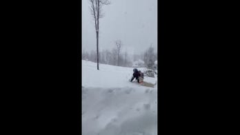 Dog walking made difficult!