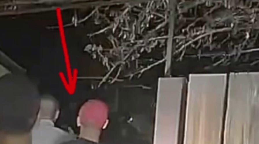  Crime scene analyst breaks down reportedly Las Vegas alien sighting video