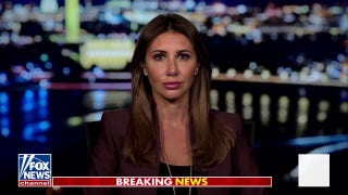 Alina Habba: This is a distraction