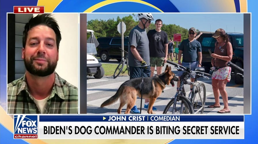 Biden family dog reportedly biting Secret Service agents