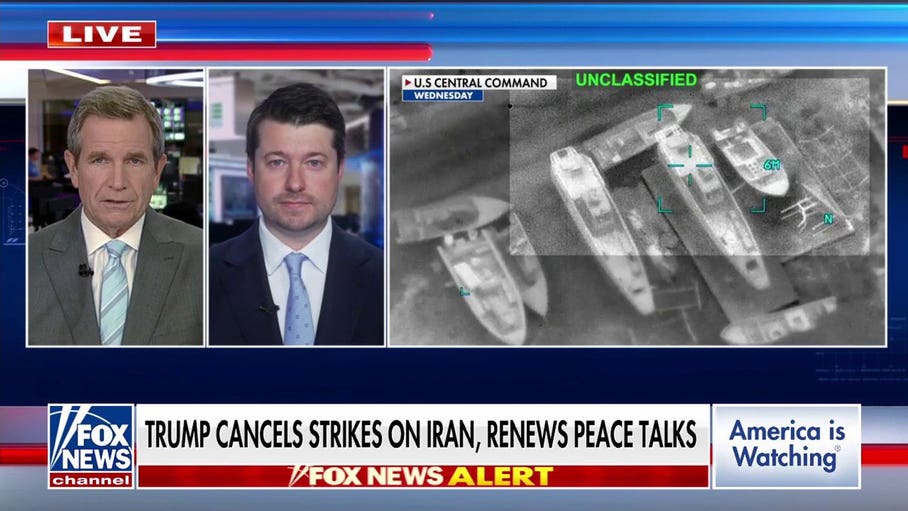 Trump puts Iran strikes on hold