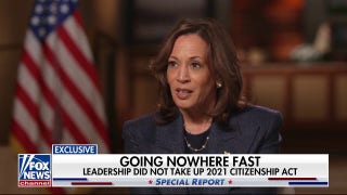 Kamala Harris appears frustrated by immigration question: 'You have to let me finish' - Fox News