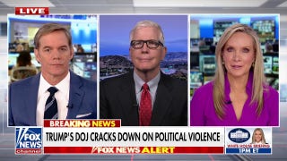 DOJ responds to wave of Tesla-linked political violence