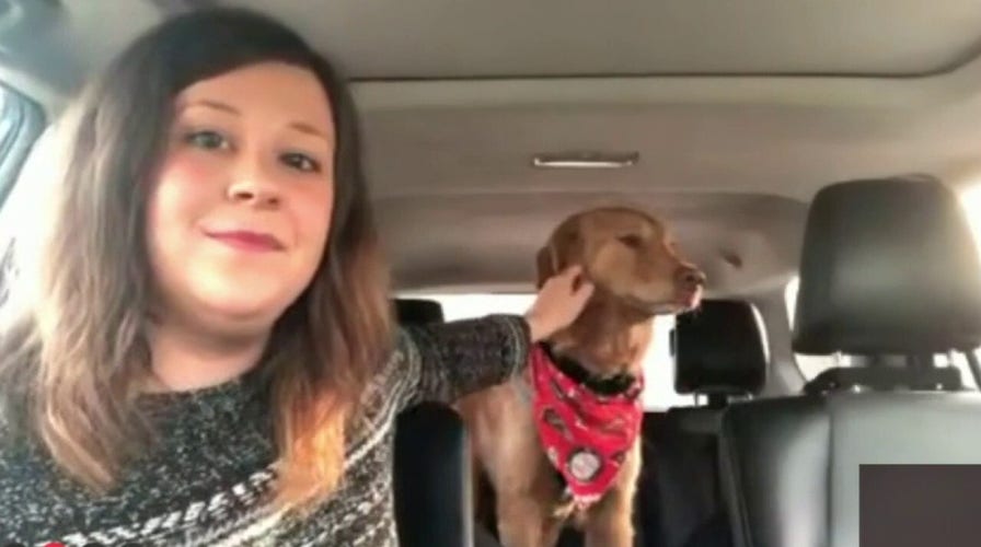 Dog missing since last Thanksgiving miraculously reunited with owner