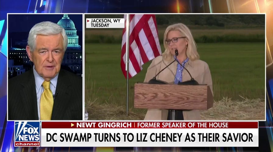 Mainstream media will love Cheney, but the country won't: Newt Gingrich