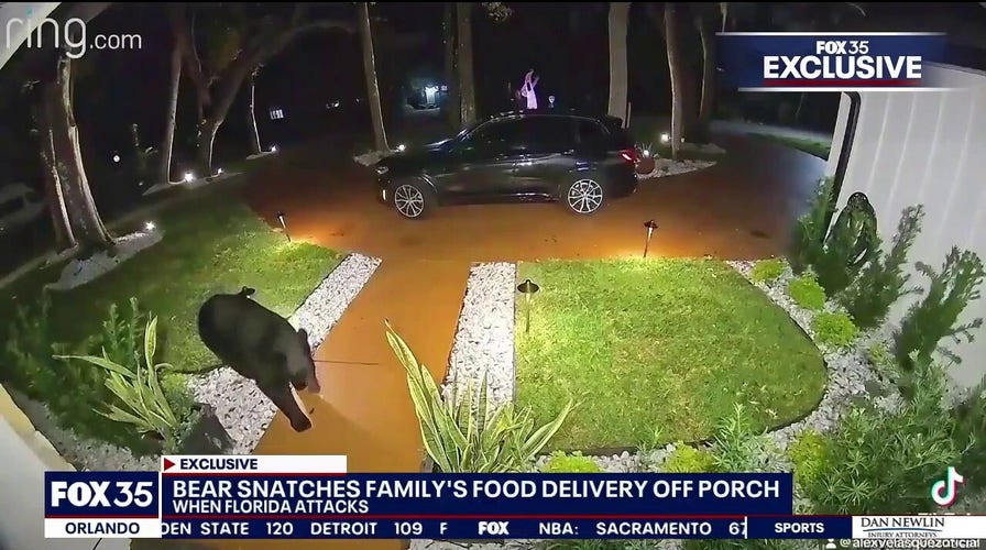 Florida bear helps himself to Taco Bell left by food delivery driver