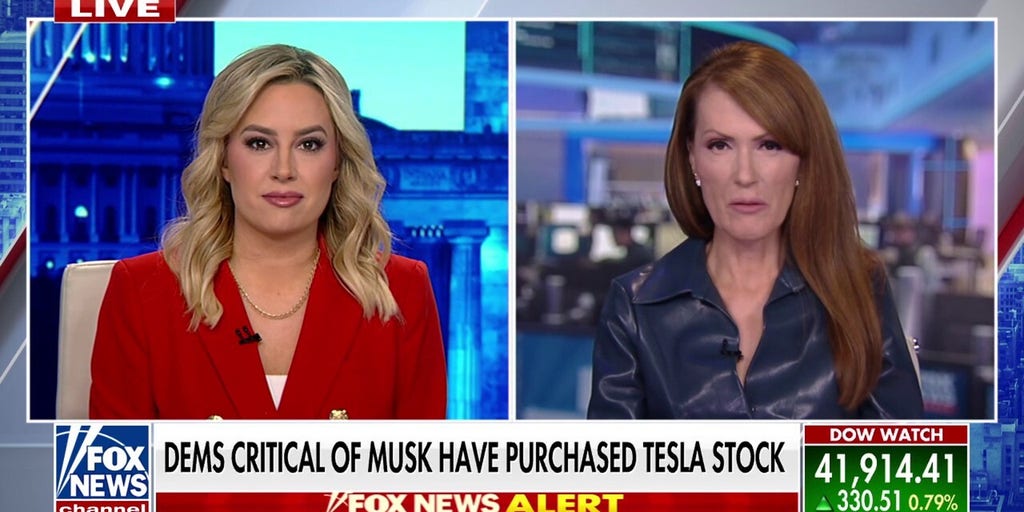 Dagen McDowell: Protesters are trying to force Elon Musk out of his DOGE role