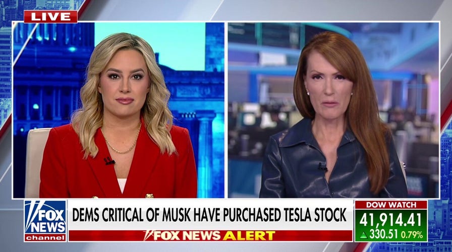 Dagen McDowell: Protesters are trying to force Elon Musk out of his DOGE role