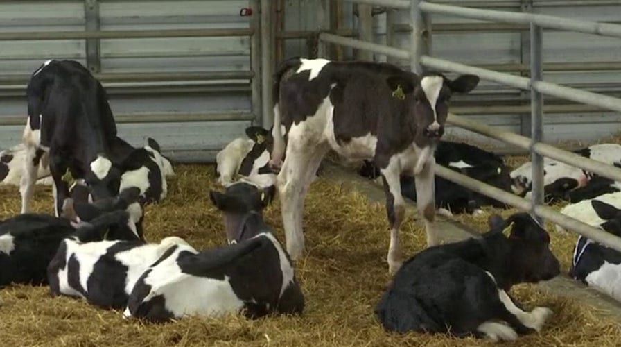 Trump urges agriculture secretary to speed up COVID-19 help to farmers 