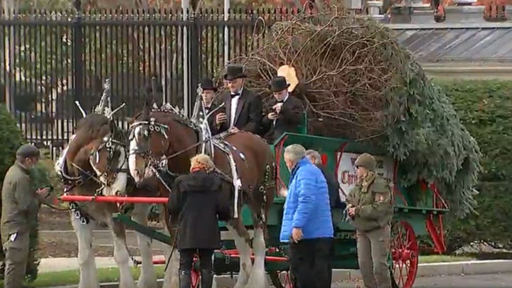 Dr. Jill Biden receives the official 2021 White House Christmas Tree