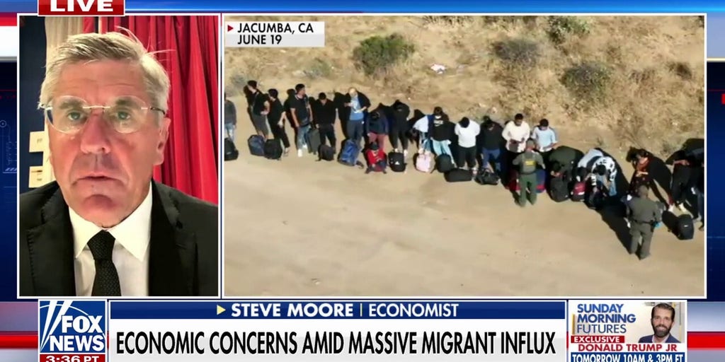 Trump will clean up the border quickly if he wins in November: Steve Moore