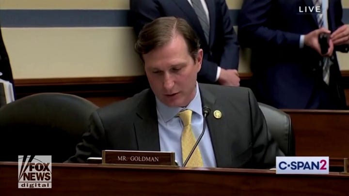 Democratic Rep. Dan Goldman calls Hunter Biden laptop story '100% false'
