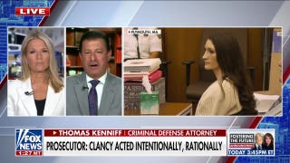 Criminal defense attorney: What would her motive be if it wasn't severe mental illness?