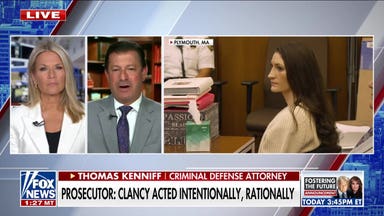 Criminal defense attorney: What would her motive be if it wasn't severe mental illness?