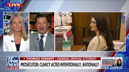 Criminal defense attorney: What would her motive be if it wasn't severe mental illness?