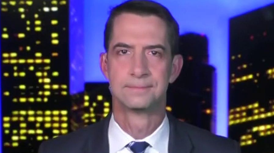 Sen. Cotton on Taliban gaining ground as US troops leave, amendment against CRT