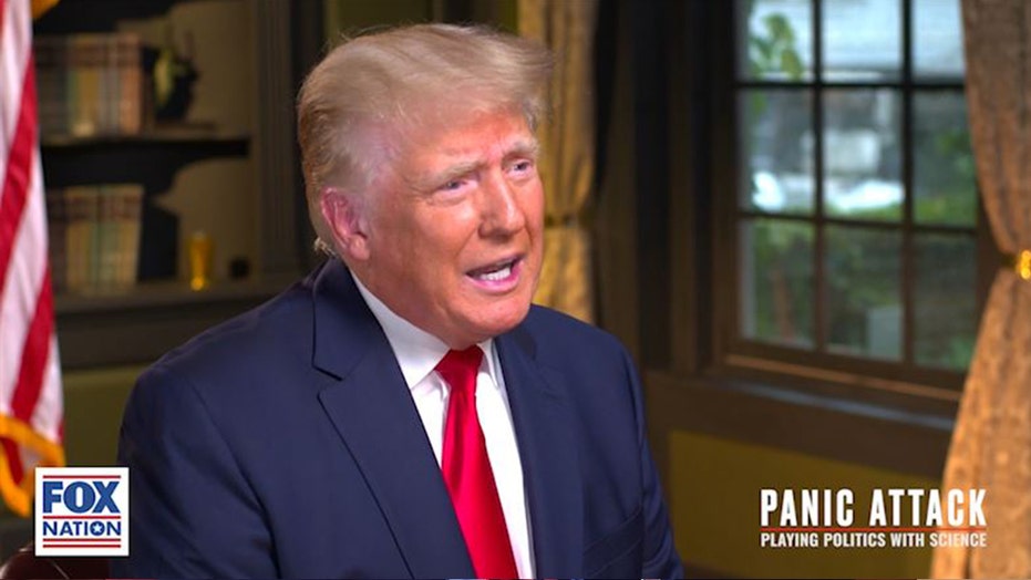New in-depth interview sees Trump call out Dems, WHO, mainstream media on Wuhan lab dismissal