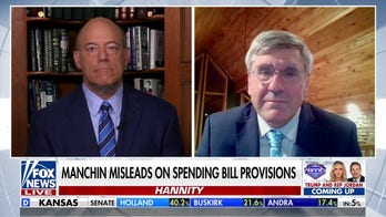 Democrats' spending bill is 'essentially corporate welfare': Fox News contributor Ari Fleischer