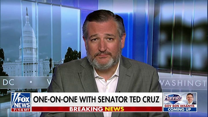 Ted Cruz warns Biden's border crisis puts US at risk of a 'major terrorist attack'