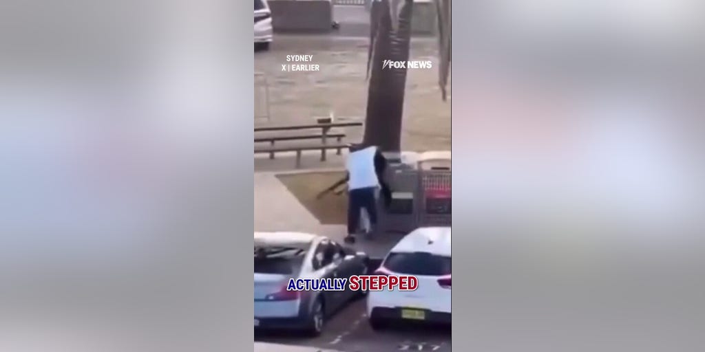 SHOCKING video captures bystander tackling alleged Australian gunman