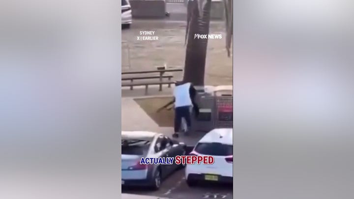 SHOCKING video captures bystander tackling alleged Australian gunman